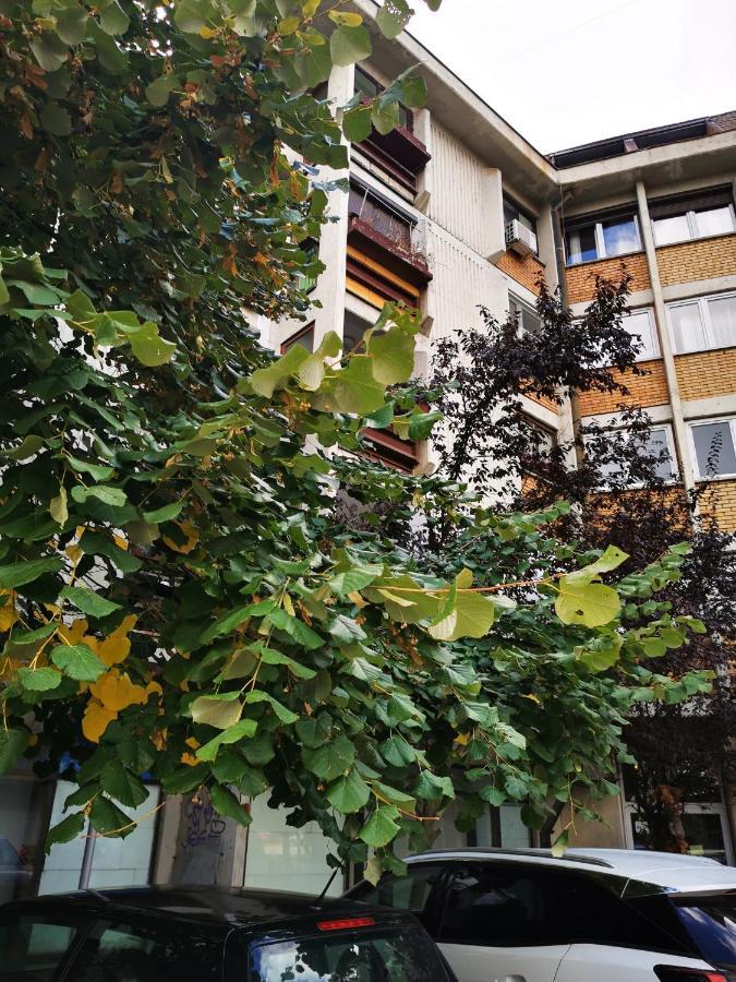 T&A Apartment Парачин Екстериор снимка